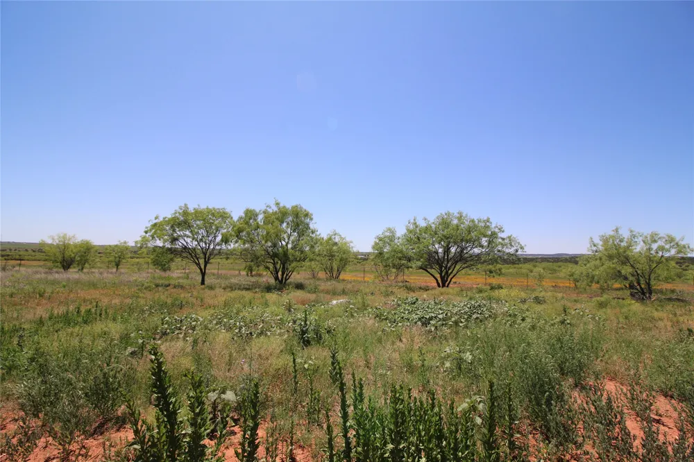 258 Marshal Trail Tuscola, TX 79562