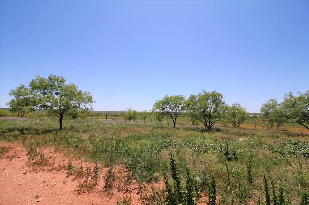 258 Marshal Trail Tuscola, TX 79562