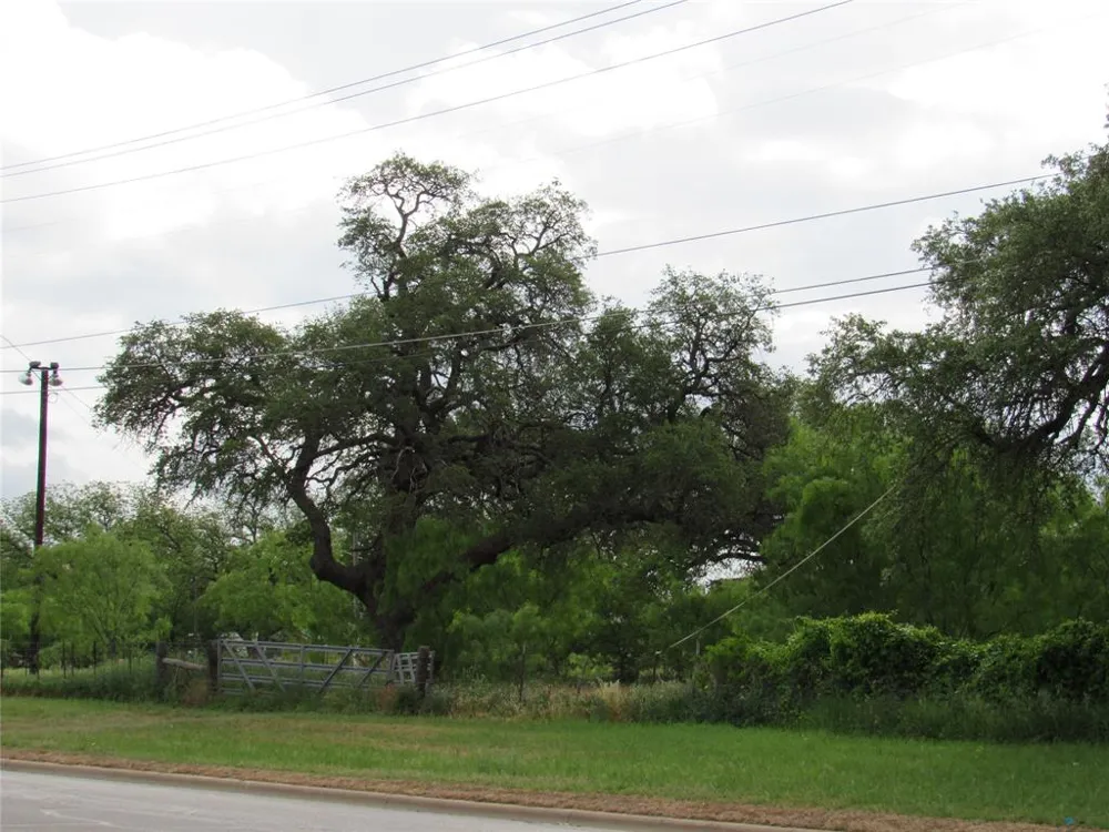 853 CC WOODSON ROAD Brownwood, TX 76801