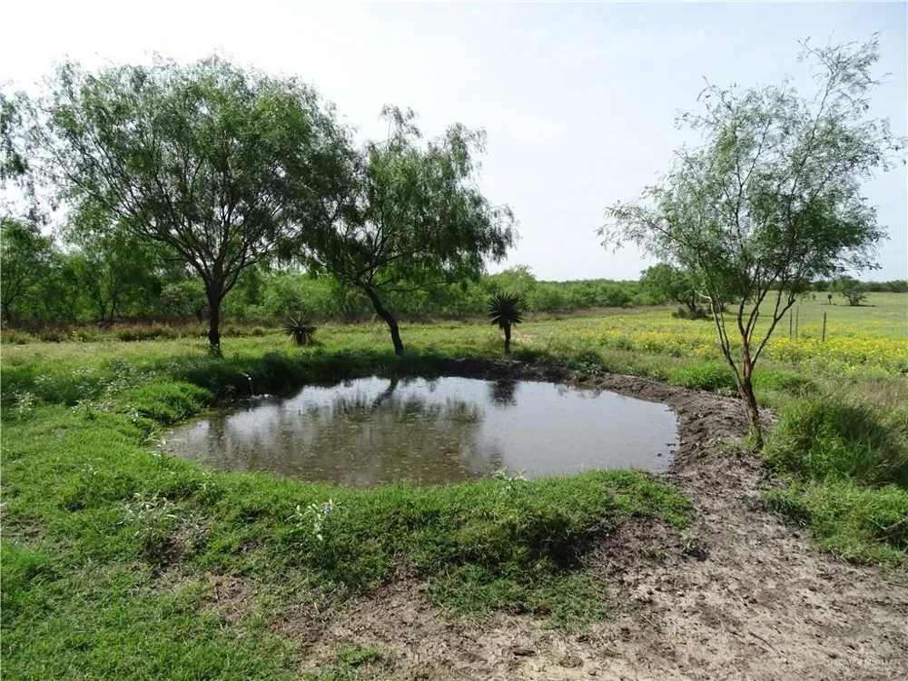0 FM 2294 Highway San Isidro, TX 78588