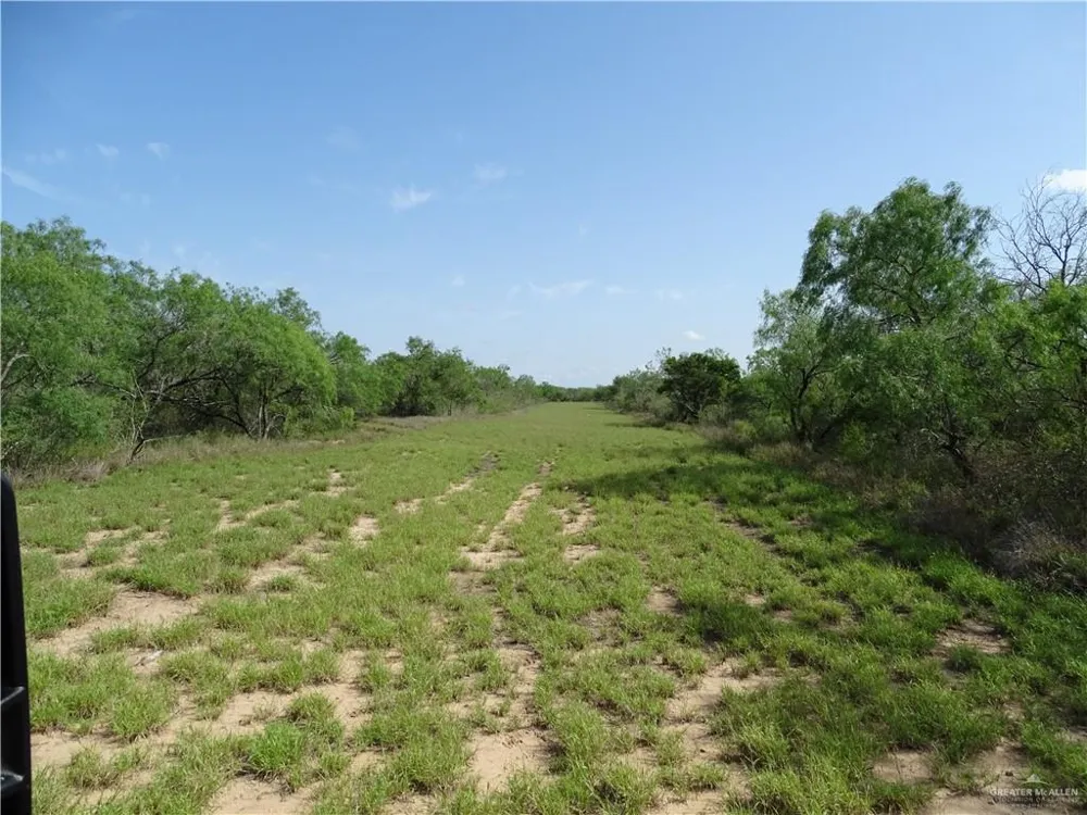0 FM 2294 Highway San Isidro, TX 78588