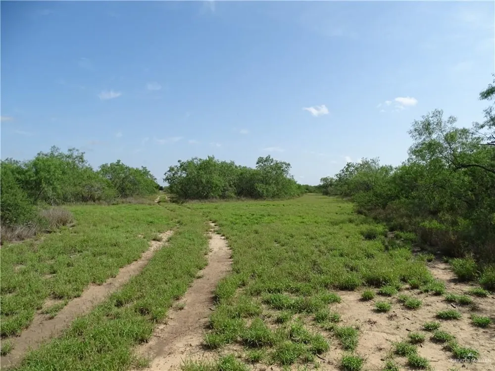 0 FM 2294 Highway San Isidro, TX 78588