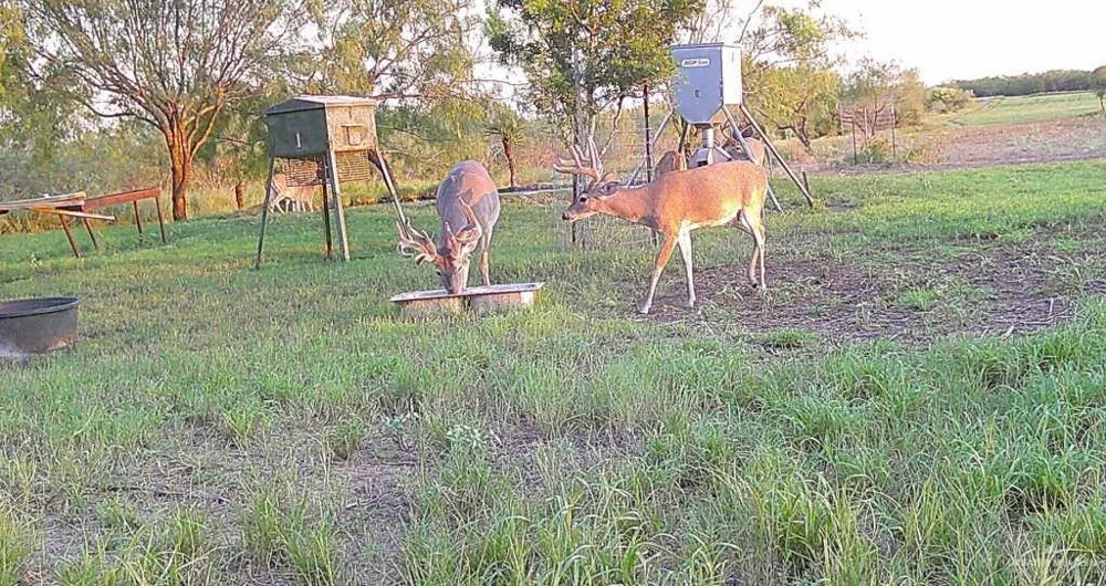 0 FM 2294 Highway San Isidro, TX 78588
