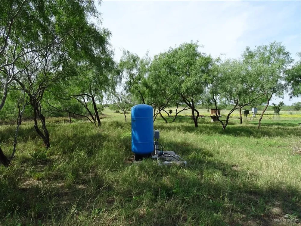 0 FM 2294 Highway San Isidro, TX 78588
