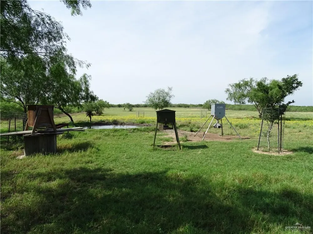 0 FM 2294 Highway San Isidro, TX 78588
