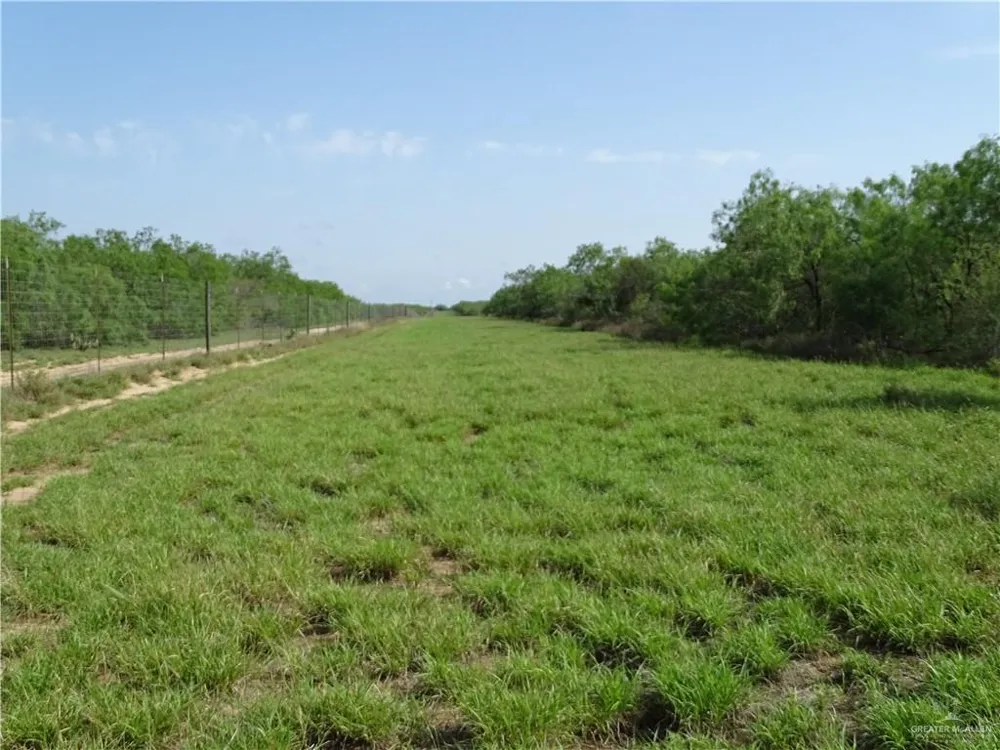 0 FM 2294 Highway San Isidro, TX 78588