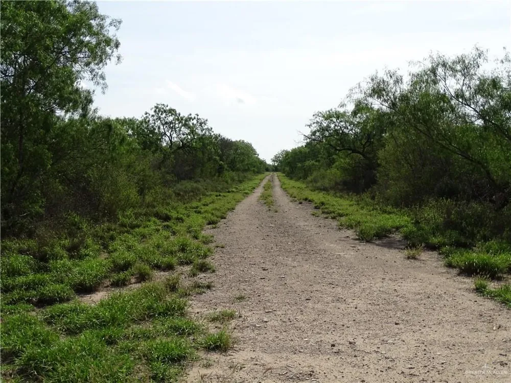 0 FM 2294 Highway San Isidro, TX 78588