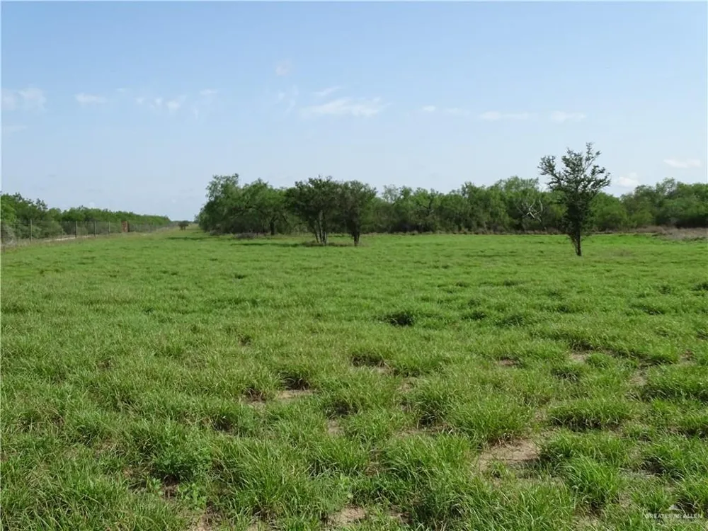 0 FM 2294 Highway San Isidro, TX 78588