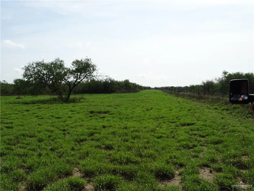 0 FM 2294 Highway San Isidro, TX 78588
