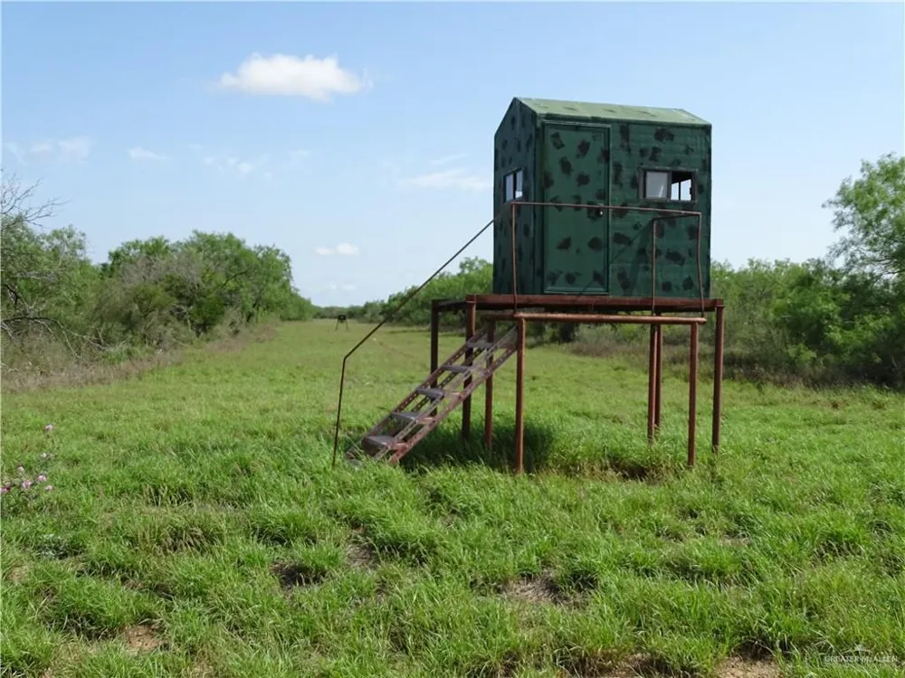 0 FM 2294 Highway San Isidro, TX 78588