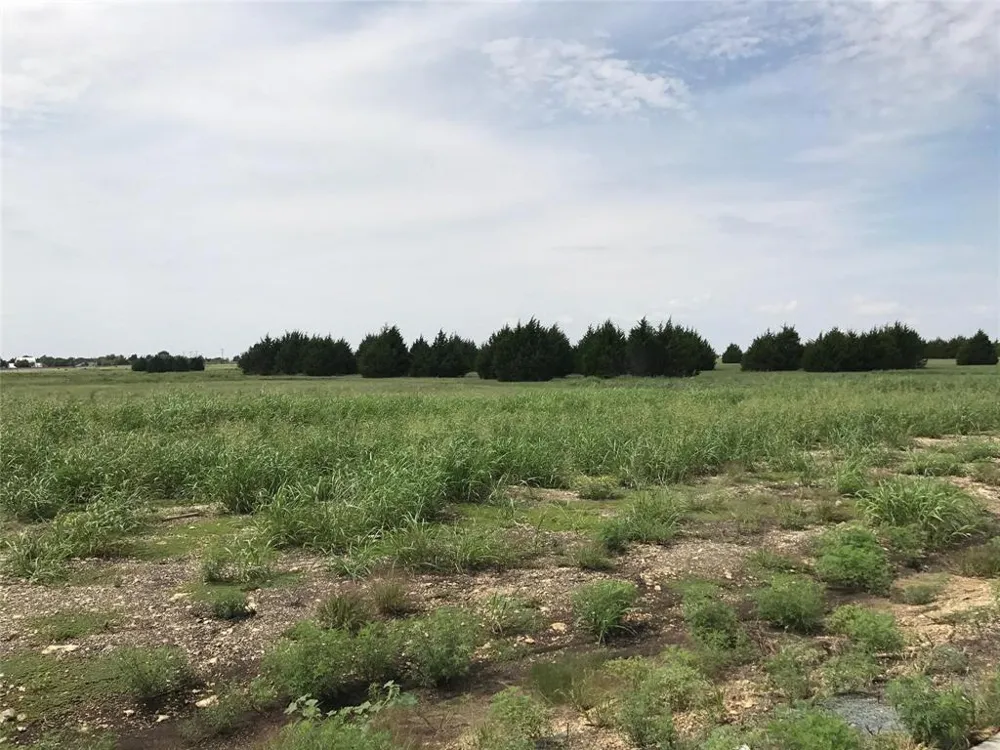 5211 Bravo Road Midlothian, TX 76065