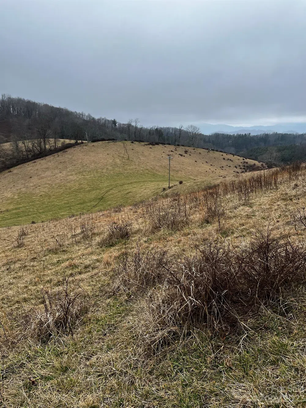 TBD Poplar Grove Road Boone, NC 28607