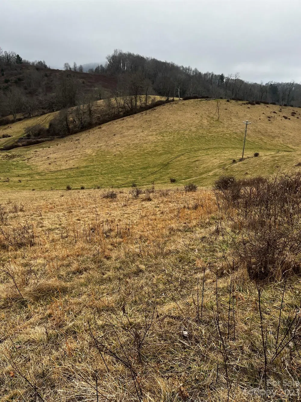 TBD Poplar Grove Road Boone, NC 28607