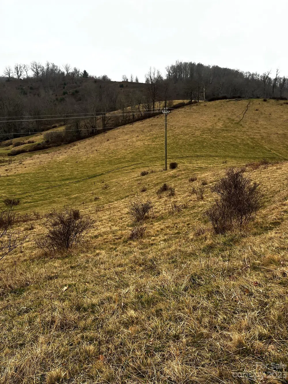 TBD Poplar Grove Road Boone, NC 28607