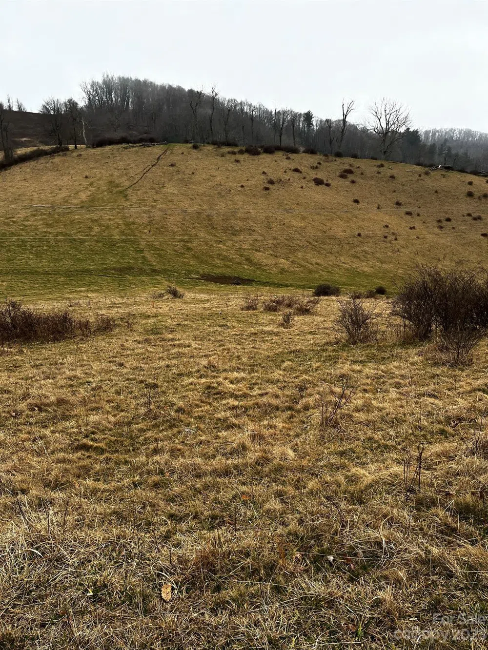 TBD Poplar Grove Road Boone, NC 28607
