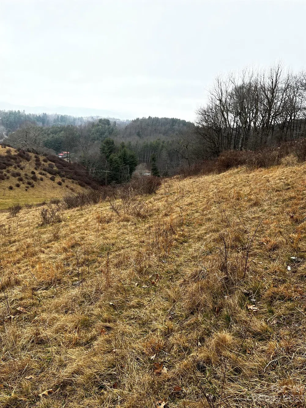 TBD Poplar Grove Road Boone, NC 28607