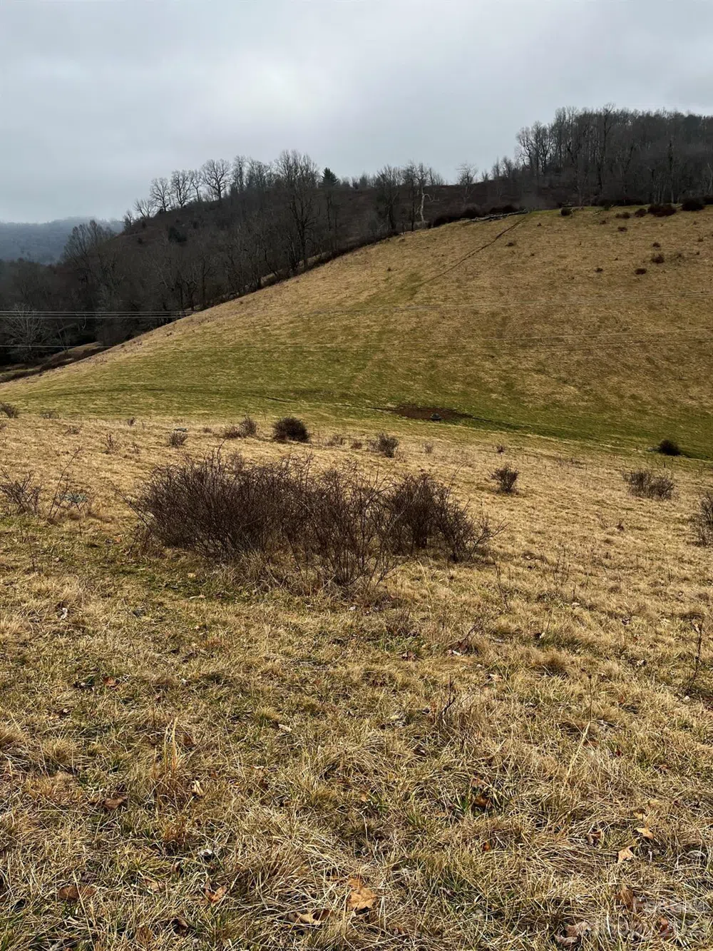 TBD Poplar Grove Road Boone, NC 28607