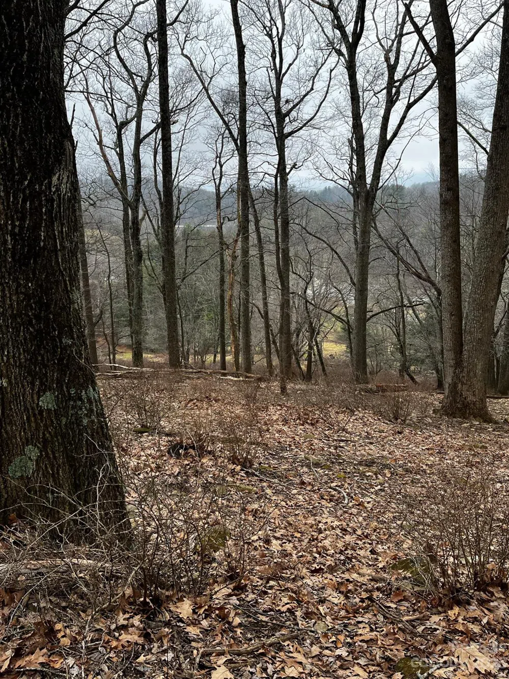 TBD Poplar Grove Road Boone, NC 28607