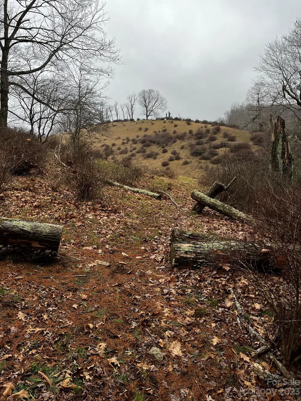 TBD Poplar Grove Road Boone, NC 28607