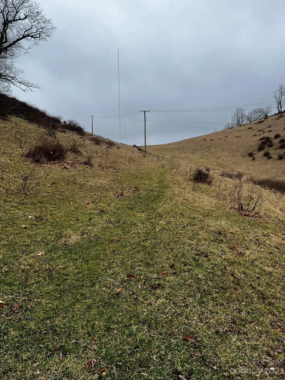 TBD Poplar Grove Road Boone, NC 28607