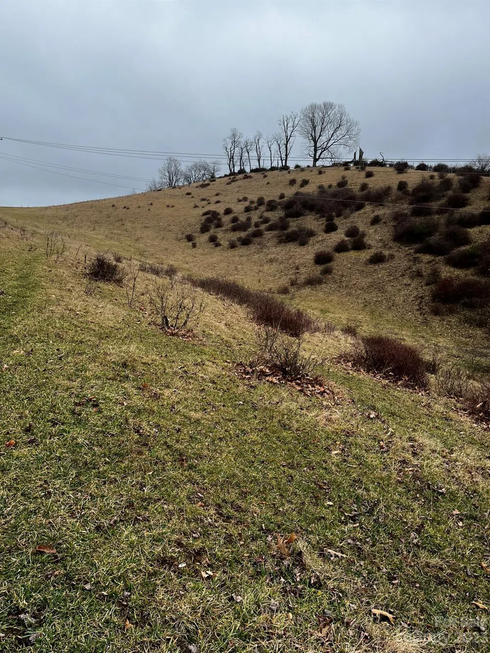 TBD Poplar Grove Road Boone, NC 28607