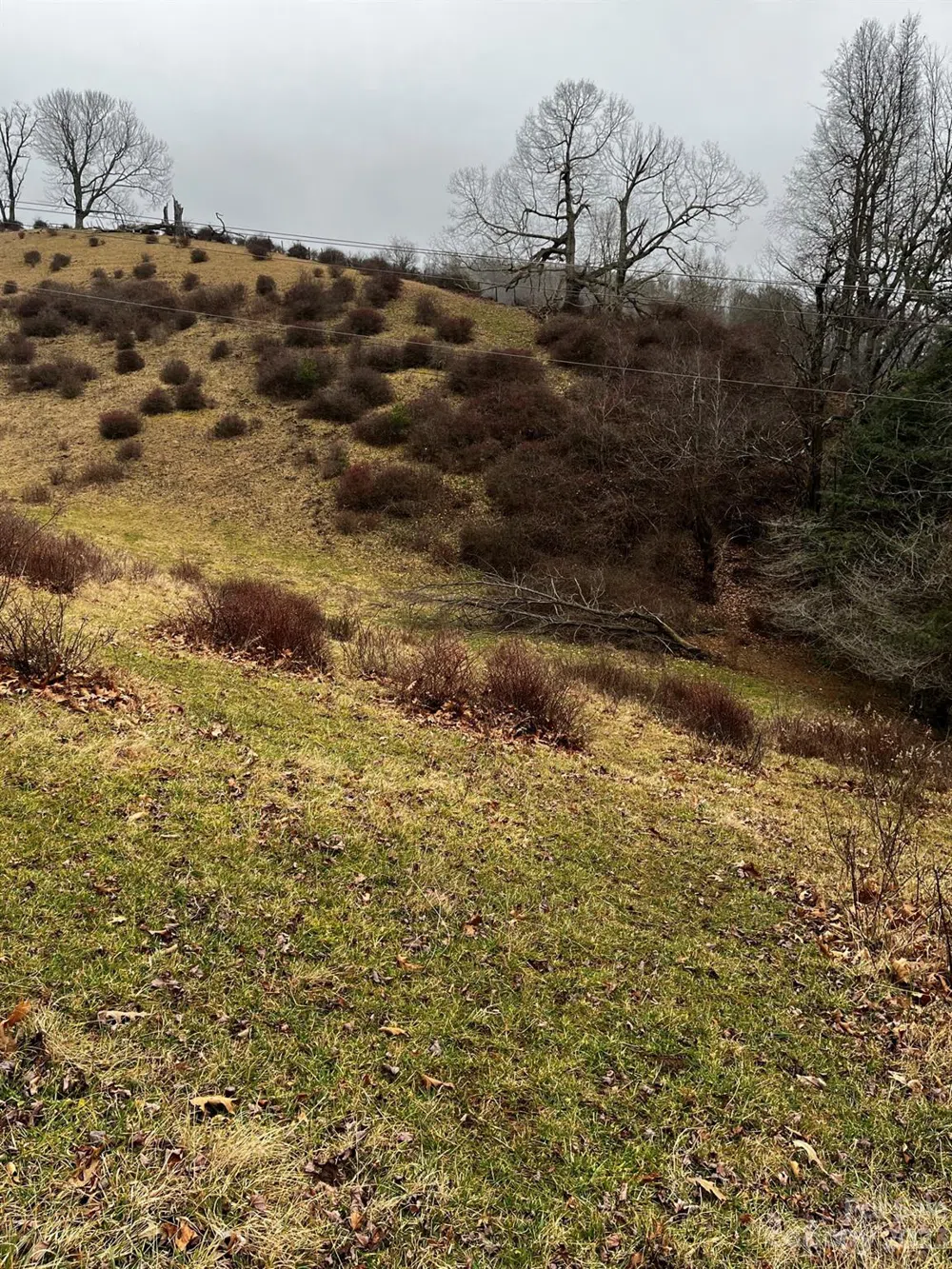 TBD Poplar Grove Road Boone, NC 28607
