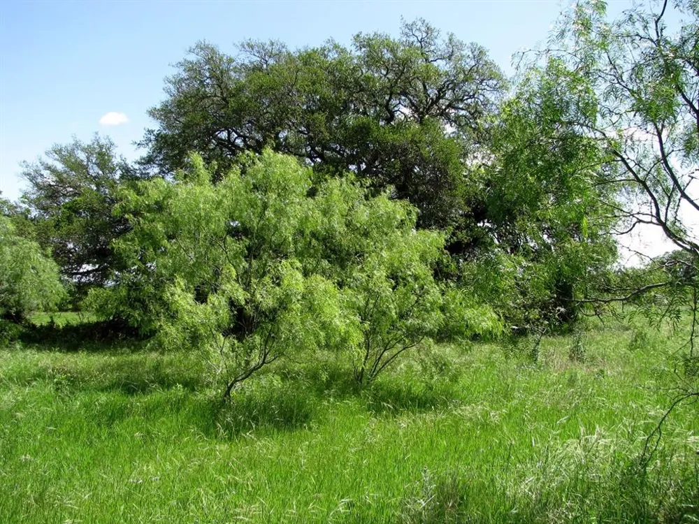 6630 Fm 183 Evant, TX 76525