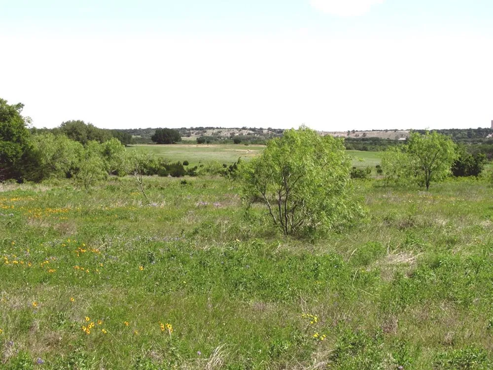 6630 Fm 183 Evant, TX 76525