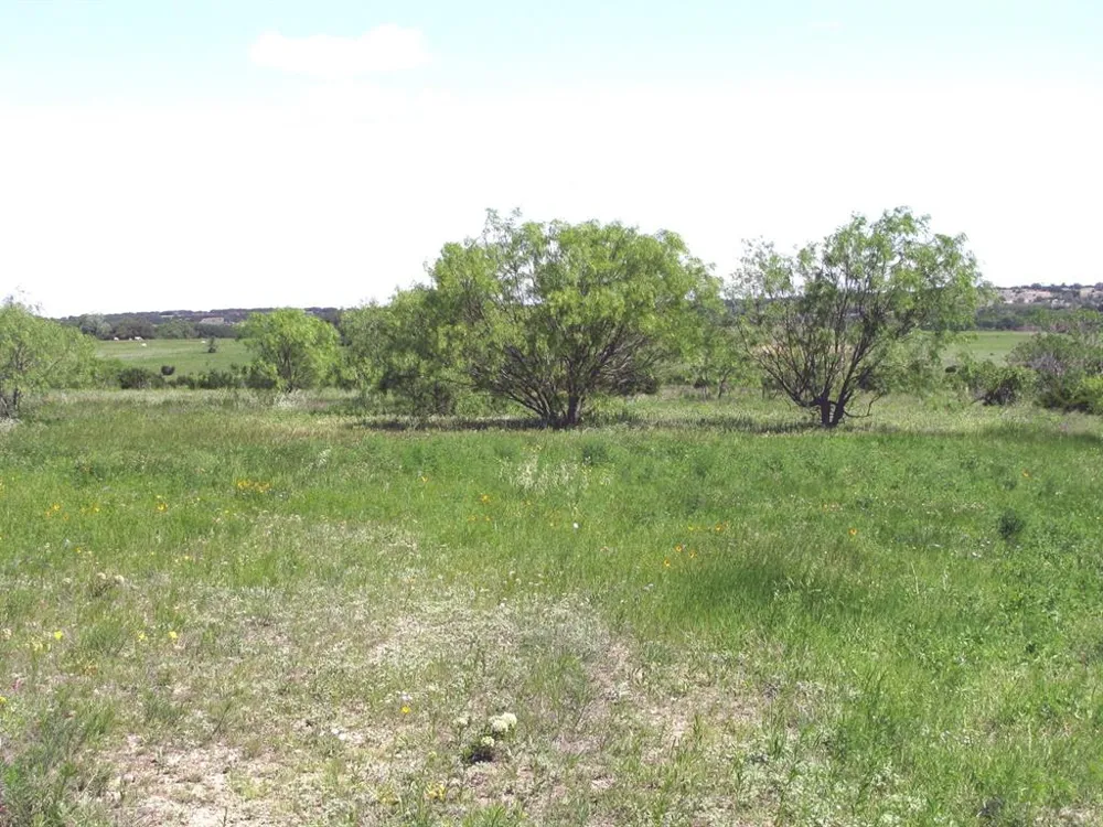 6630 Fm 183 Evant, TX 76525