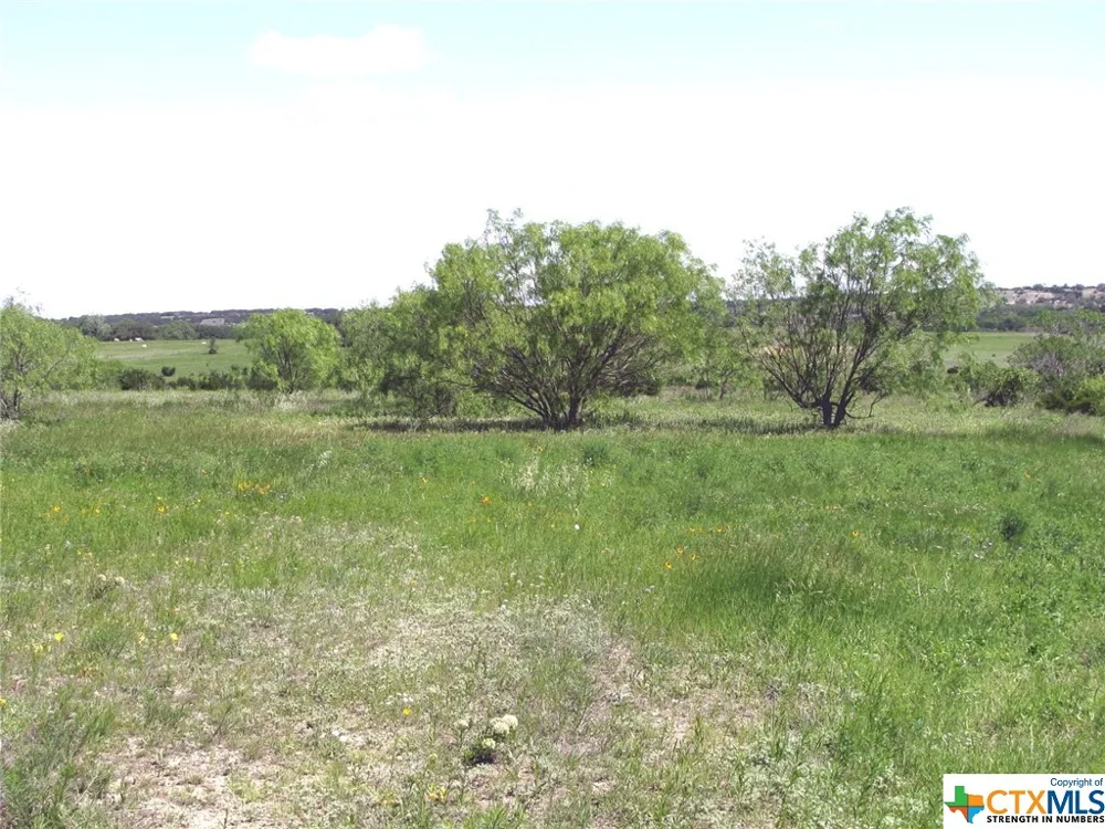 6630 Fm 183 Evant, TX 76525
