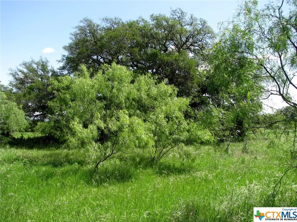6630 Fm 183 Evant, TX 76525