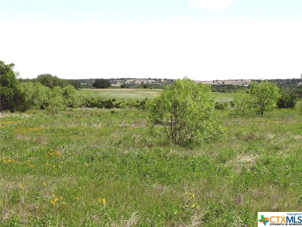 6630 Fm 183 Evant, TX 76525