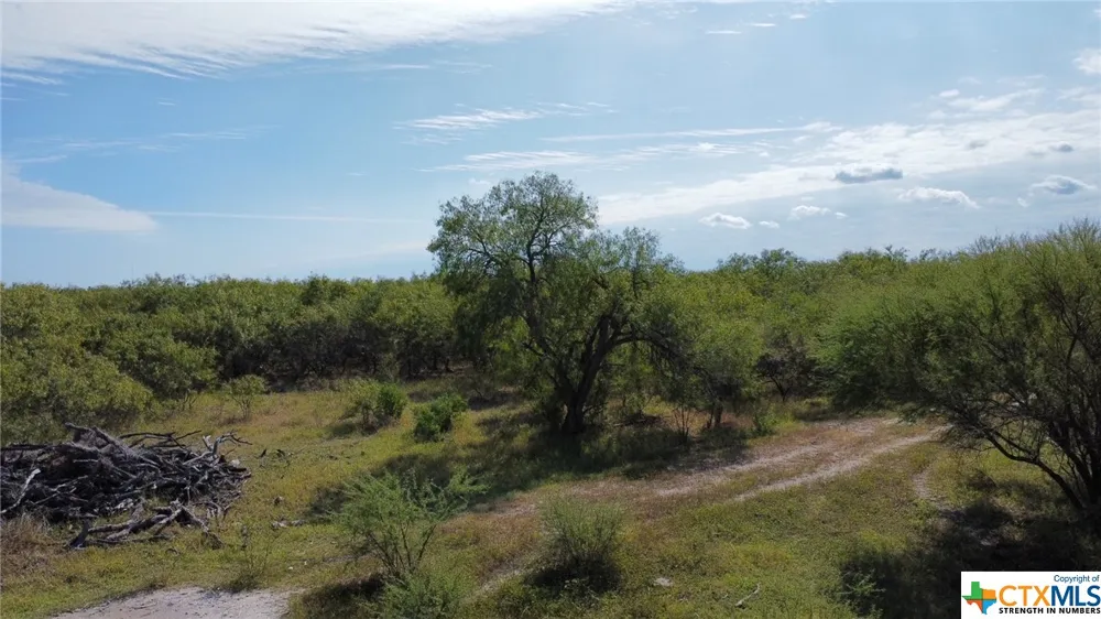 County Road 1144 Sinton, TX 78387