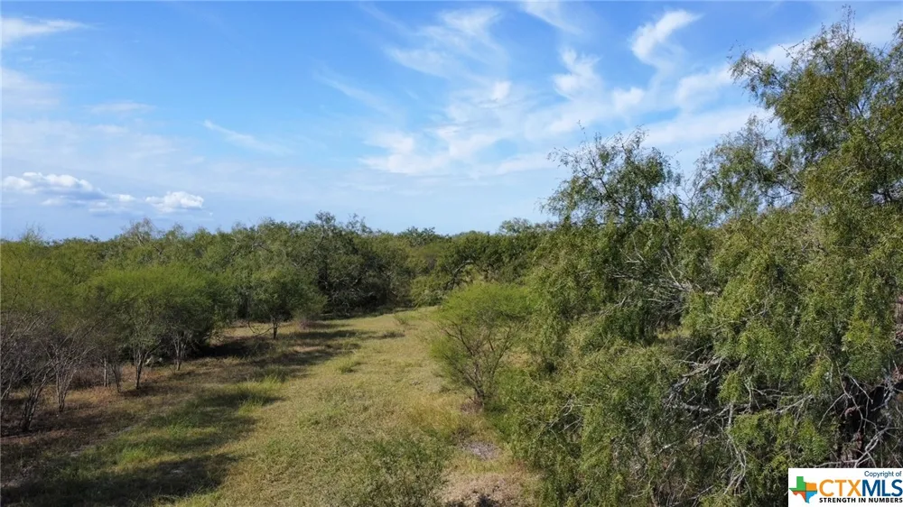 County Road 1144 Sinton, TX 78387