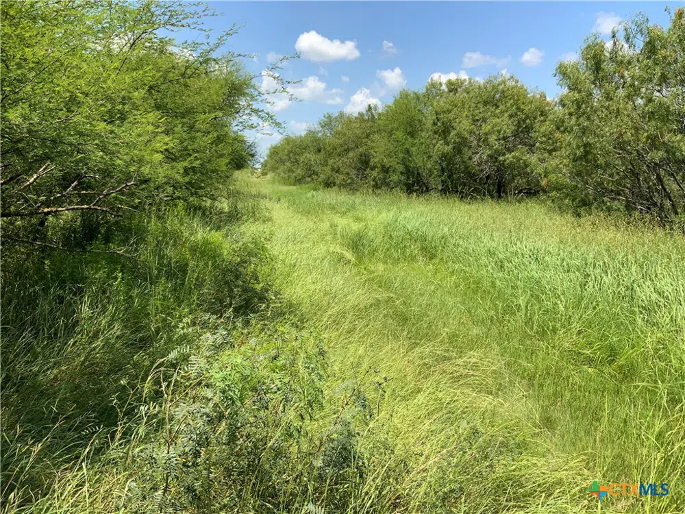 County Road 1144 Sinton, TX 78387