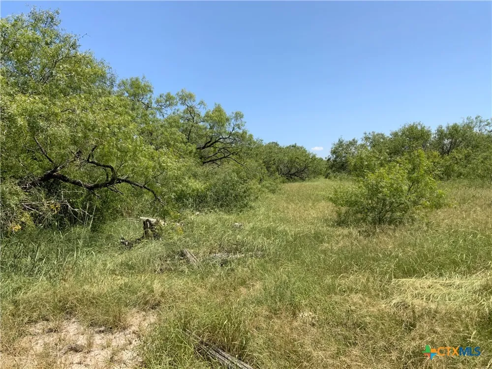 County Road 1144 Sinton, TX 78387