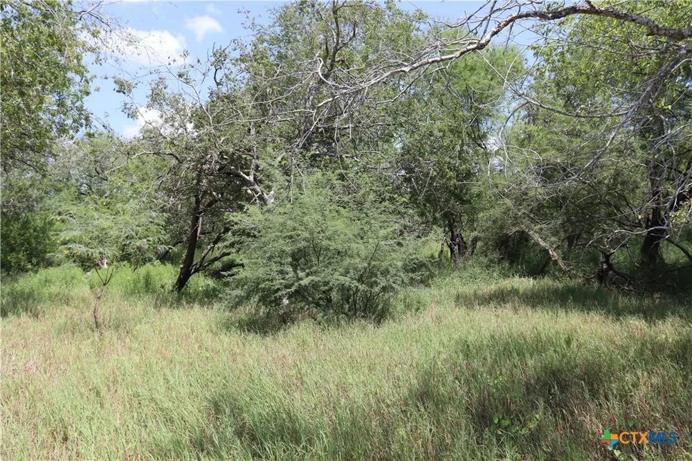 County Road 1144 Sinton, TX 78387