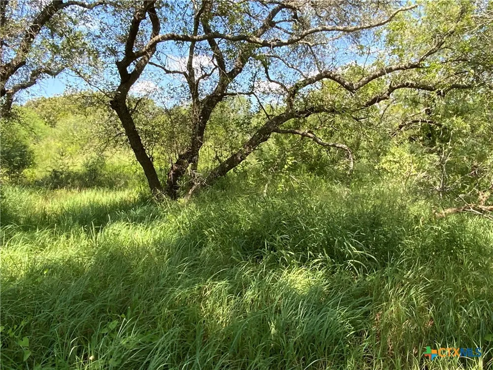 3 CR 1144 #3 Sinton, TX 78387