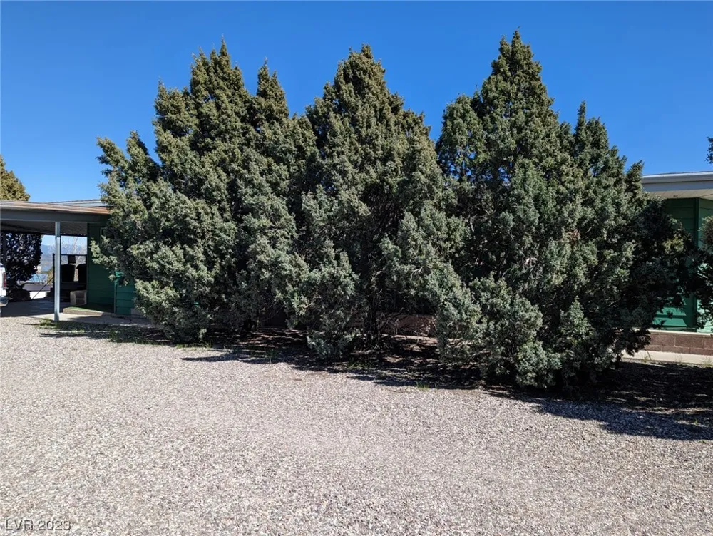 120 Main Street Pioche, NV 89043