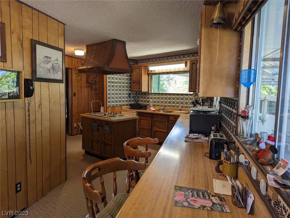 120 Main Street Pioche, NV 89043
