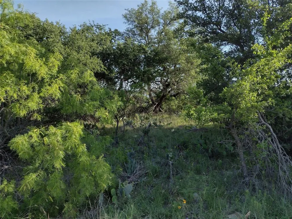 Janda Lane Brownwood, TX 76801