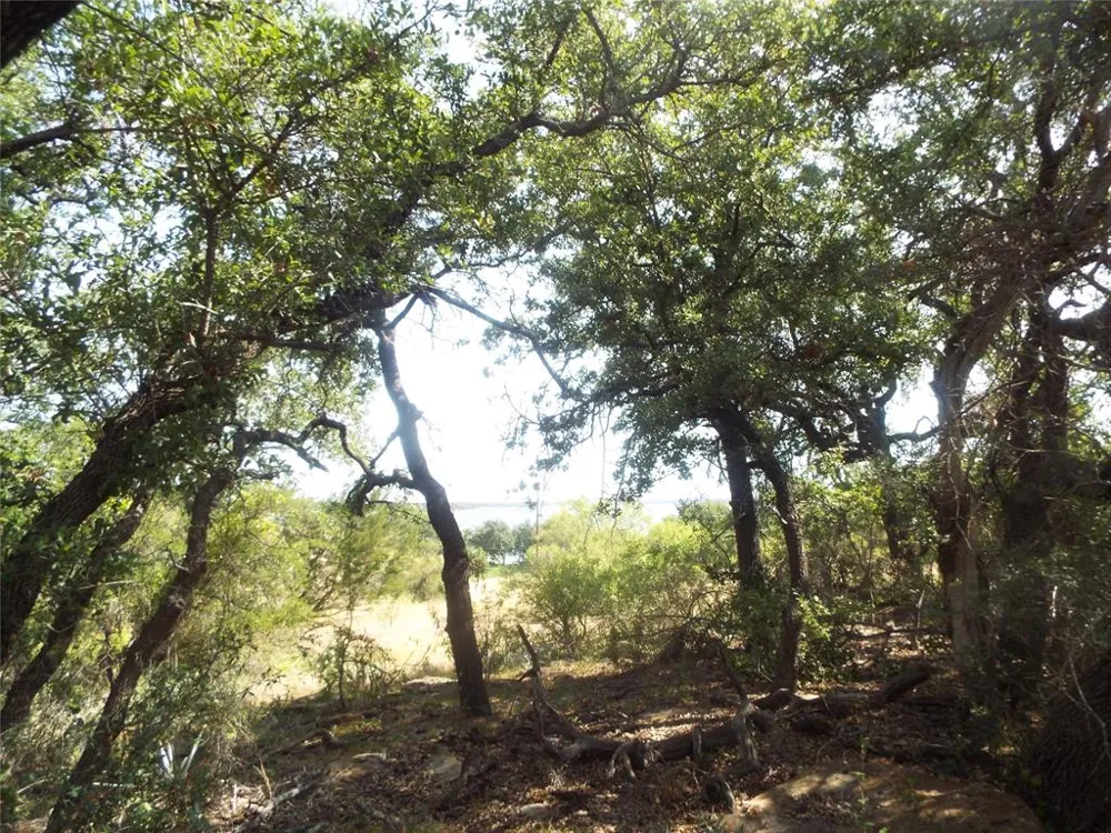 Janda Lane Brownwood, TX 76801