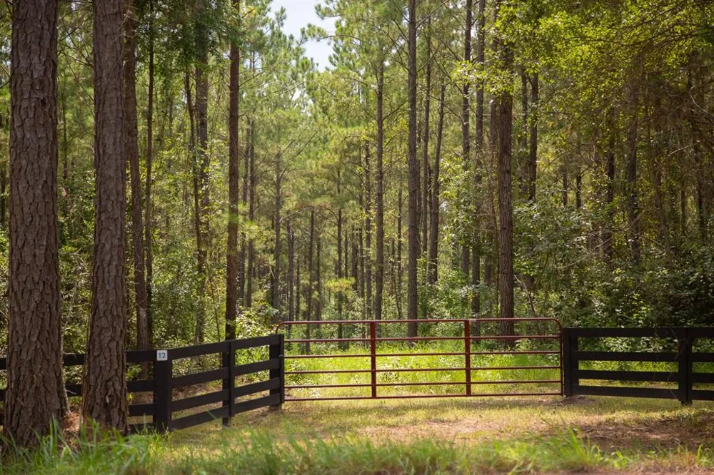 FM 352 Corrigan, TX 77351