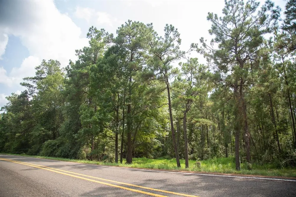 FM 352 Corrigan, TX 77351
