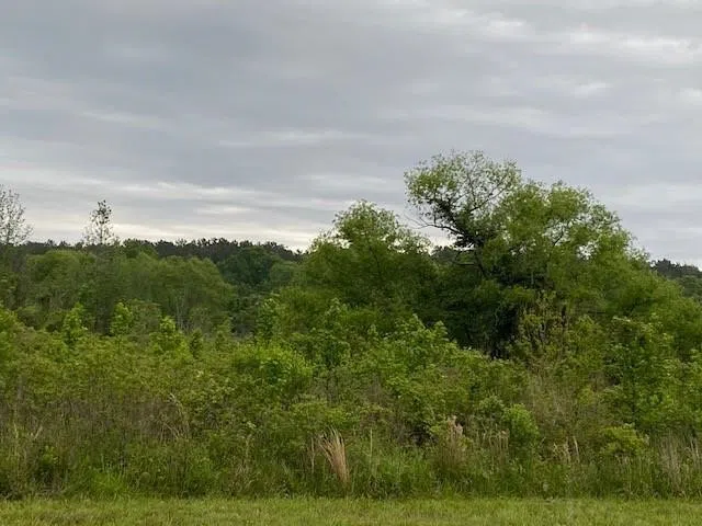 Hwy 31 Chandler, TX 75758
