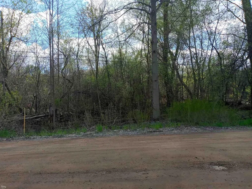 Whipple Lake Independence Charter Township, MI 48348