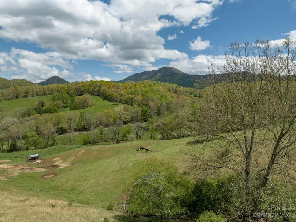 #4 Sunny Hill Lane Clyde, NC 28721