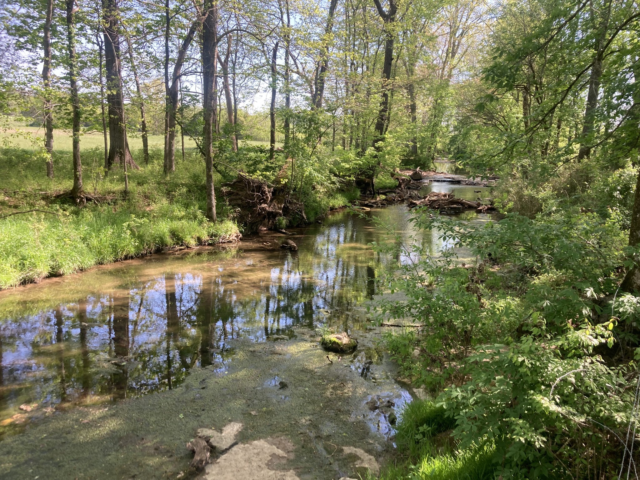 0 Bostic Rd Nolensville, TN 37135
