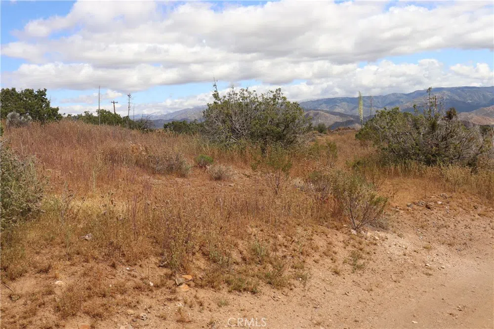 Vac/Cor Mountain Spring/Carrol Acton, CA 93510
