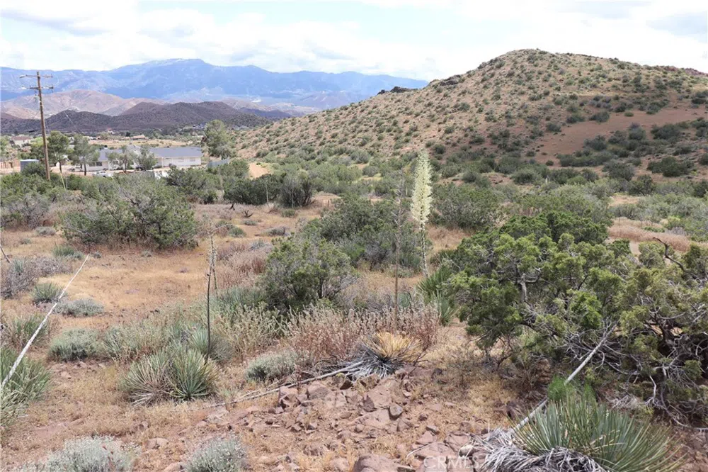 Vac/Cor Mountain Spring/Carrol Acton, CA 93510